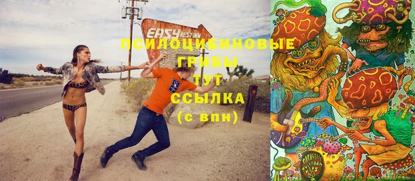 тгк Каменка