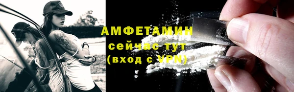 тгк Каменка