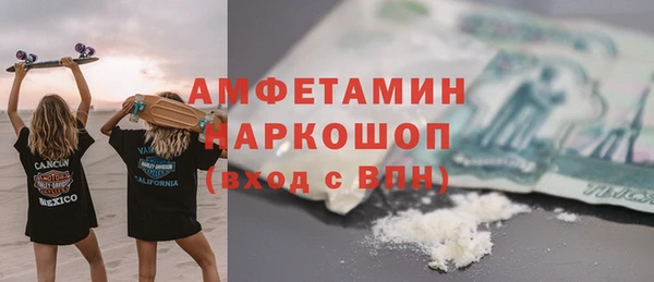 тгк Каменка