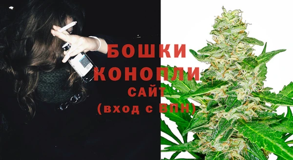 метадон Каменногорск