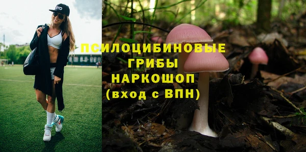 метадон Каменногорск
