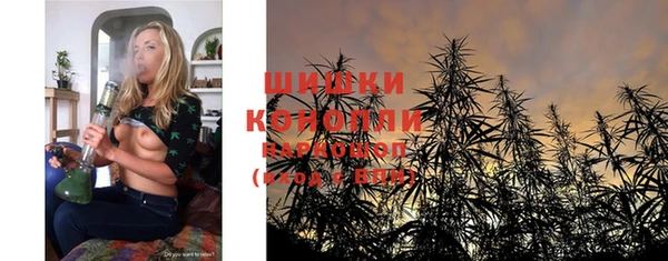 тгк Каменка