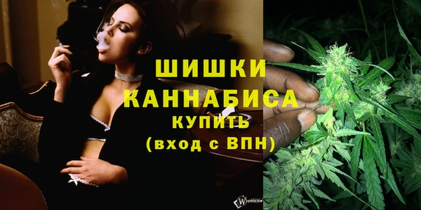метадон Каменногорск