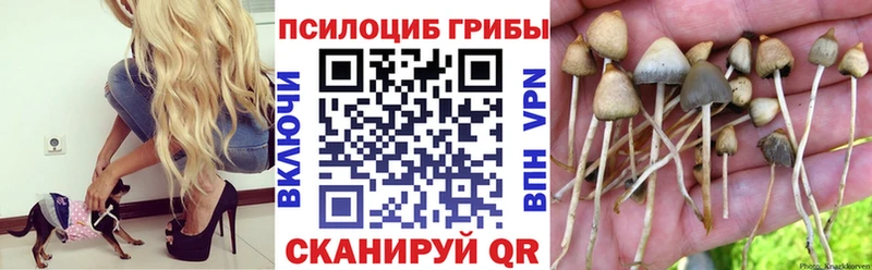 Галлюциногенные грибы мухоморы  Купить закладки  Михайлов 