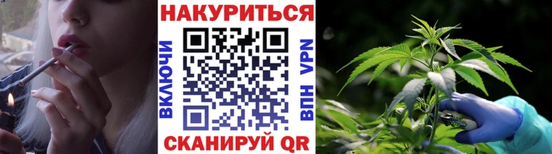 Купить закладки  Михайлов  Конопля SATIVA & INDICA 